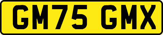 GM75GMX