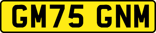 GM75GNM