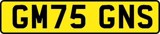 GM75GNS