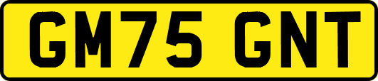 GM75GNT