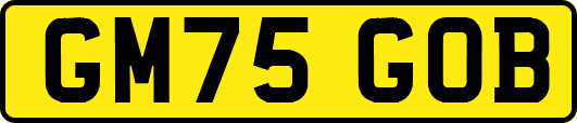 GM75GOB