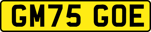 GM75GOE