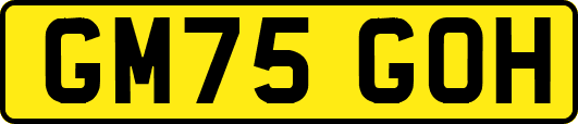 GM75GOH