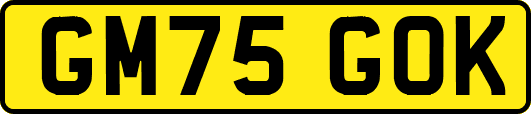GM75GOK