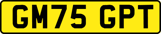 GM75GPT