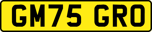 GM75GRO
