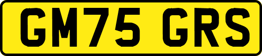 GM75GRS