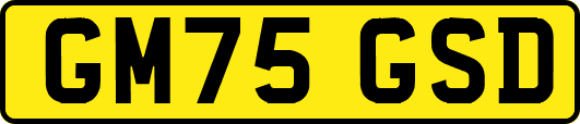 GM75GSD