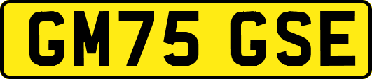GM75GSE
