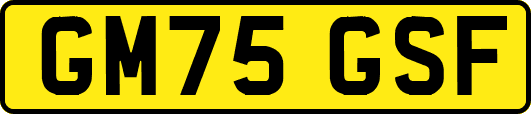 GM75GSF