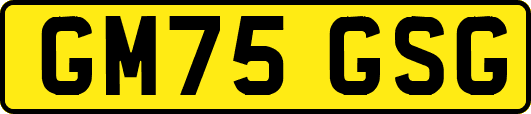 GM75GSG