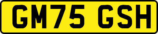 GM75GSH