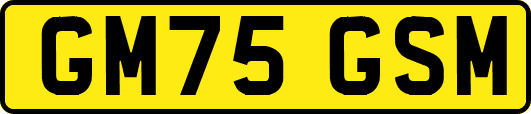 GM75GSM
