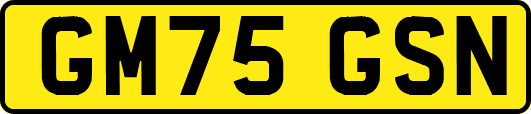 GM75GSN