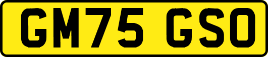 GM75GSO