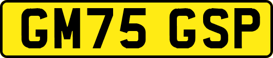 GM75GSP