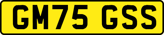 GM75GSS