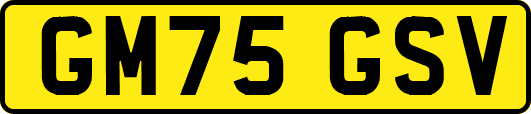 GM75GSV