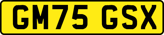 GM75GSX