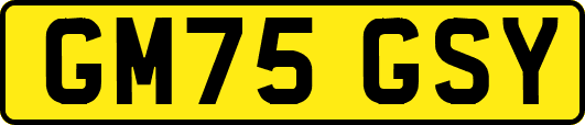 GM75GSY