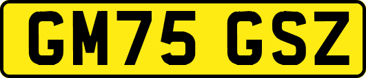 GM75GSZ