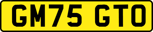 GM75GTO