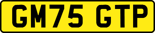 GM75GTP