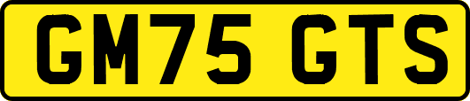 GM75GTS