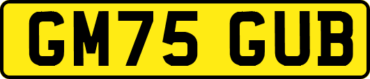 GM75GUB
