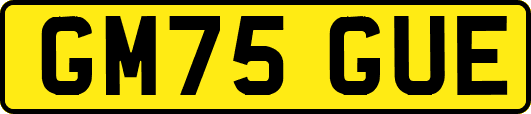 GM75GUE