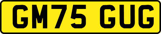 GM75GUG
