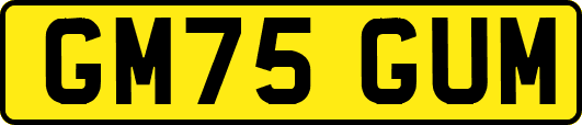GM75GUM