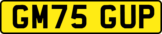 GM75GUP