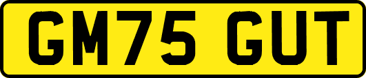 GM75GUT