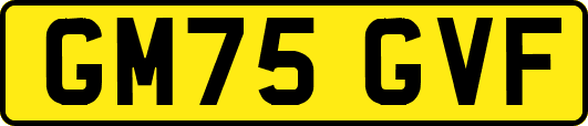 GM75GVF