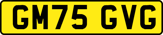GM75GVG