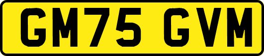 GM75GVM