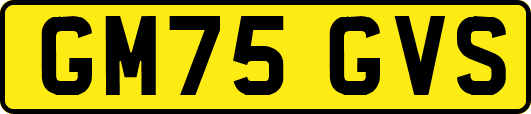 GM75GVS