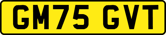 GM75GVT
