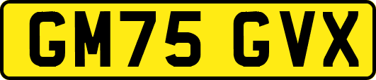 GM75GVX