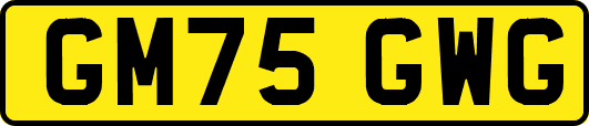 GM75GWG