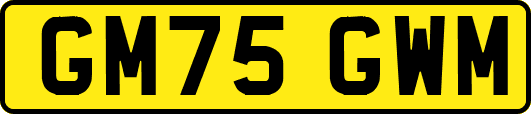 GM75GWM
