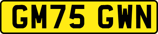 GM75GWN
