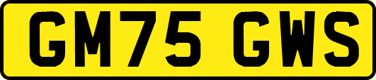 GM75GWS