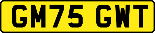 GM75GWT