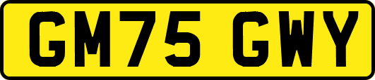 GM75GWY