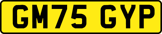 GM75GYP