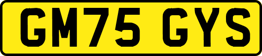 GM75GYS