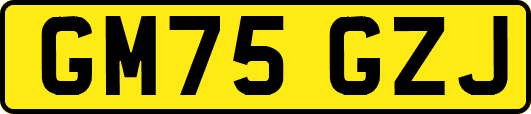 GM75GZJ