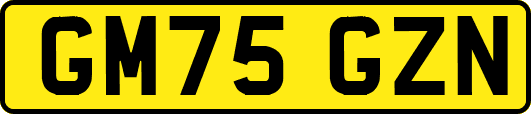 GM75GZN